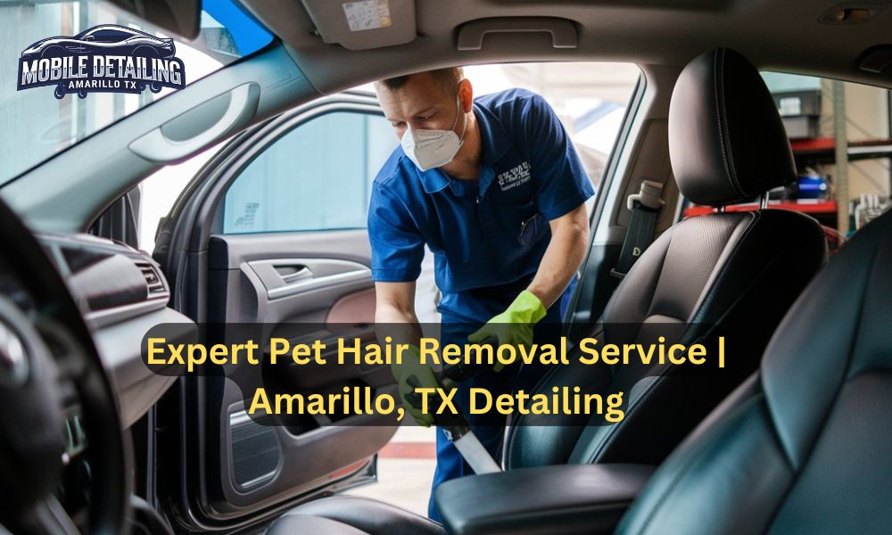 Expert Pet Hair Removal Service | Amarillo, TX Detailing