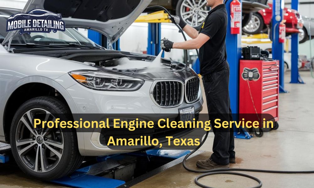 Professional Engine Cleaning Service in Amarillo, Texas