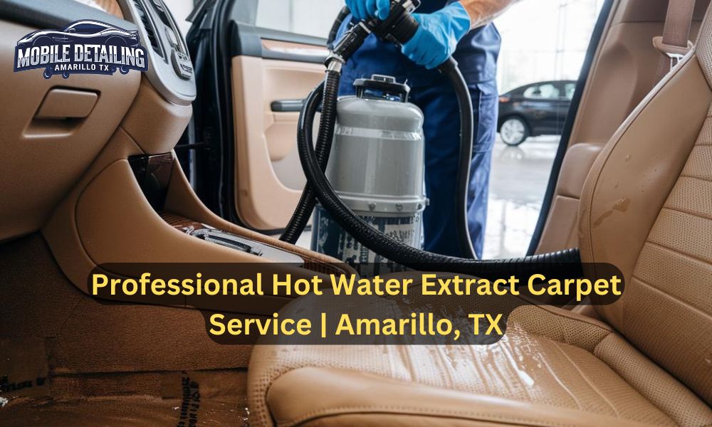 Professional Hot Water Extract Carpet Service | Amarillo, TX