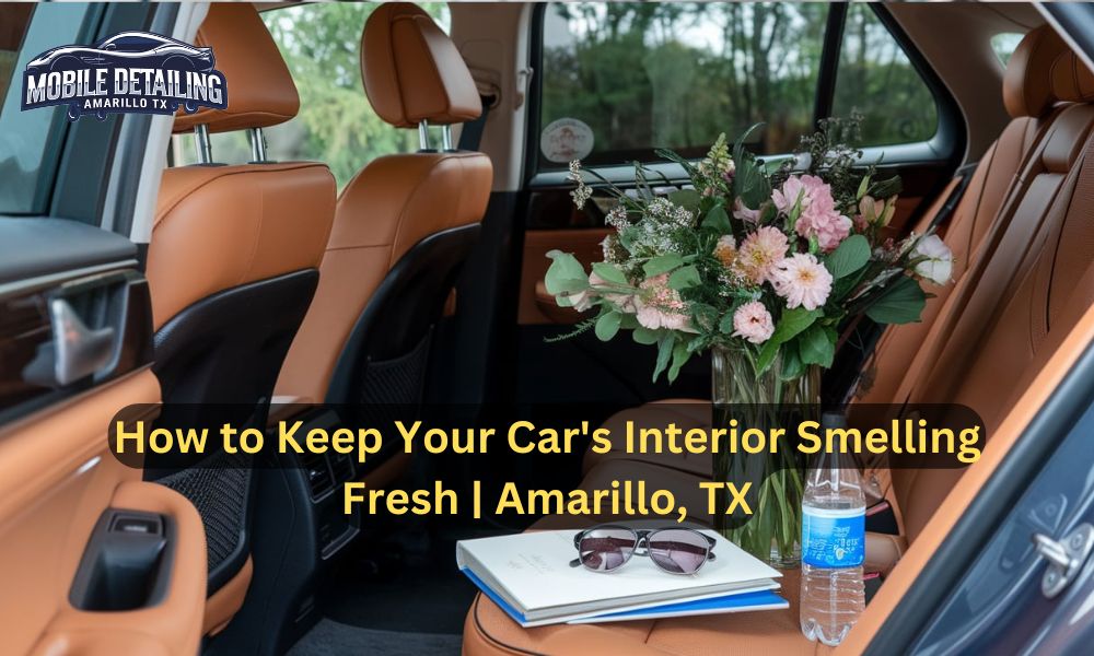 How to Keep Your Car's Interior Smelling Fresh | Amarillo, TX