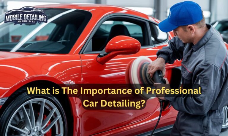 What is The Importance of Professional Car Detailing?