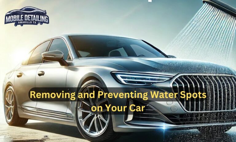 Removing and Preventing Water Spots on Your Car